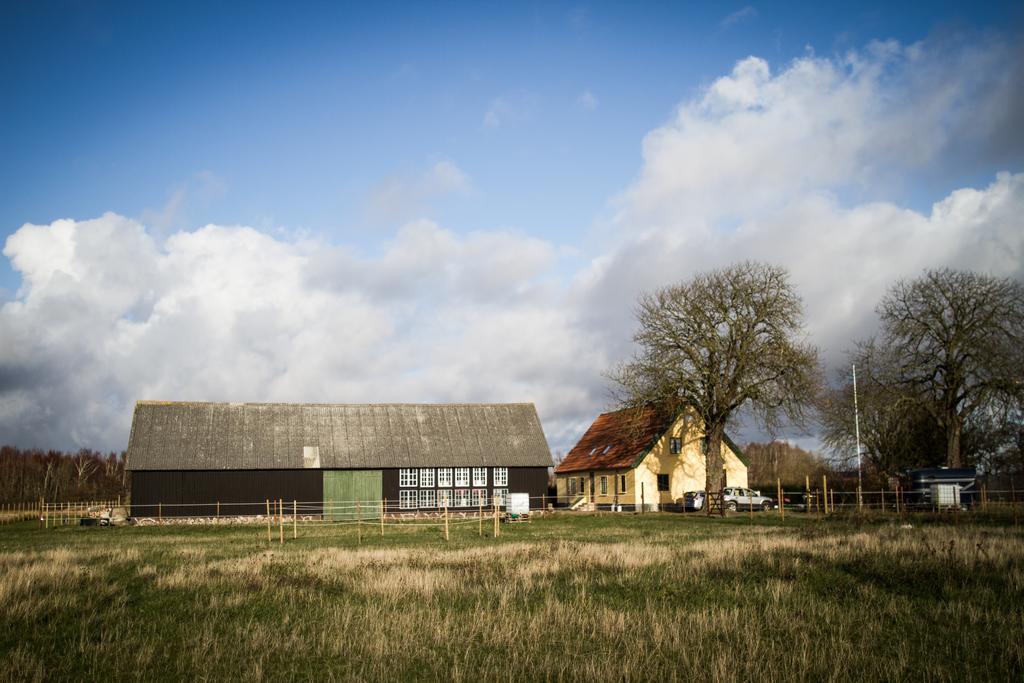 Froeken Hjorts Bed And Breakfast Höganäs Exterior foto